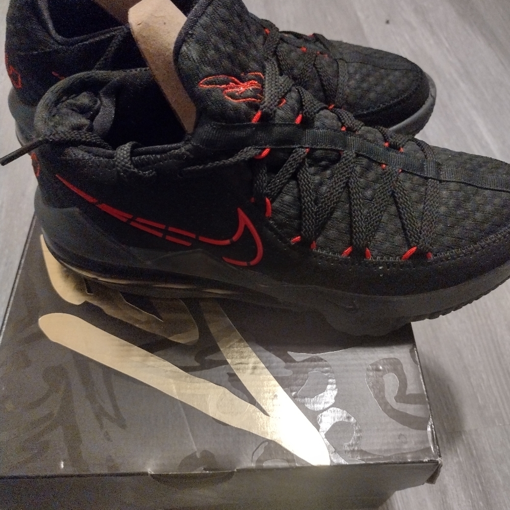 Nike Lebrons